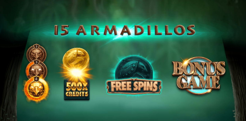 15 armadillos features