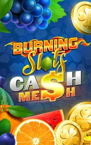 Burning Slots Cash Mesh logo