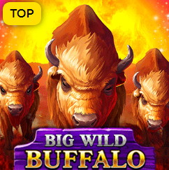 big wild buffalo mini logo