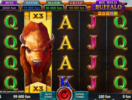 big wild buffalo screengrab