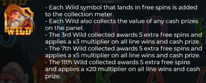 Wild Willy's wild symbol