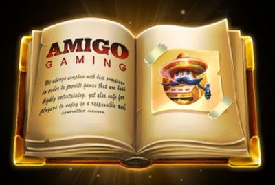 Amigo Gaming book image