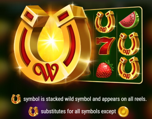 Super Lucky wild symbol feature