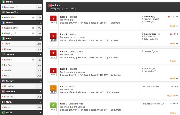 racebets markets and odds 