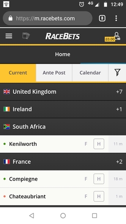 racebets mobile screenshot